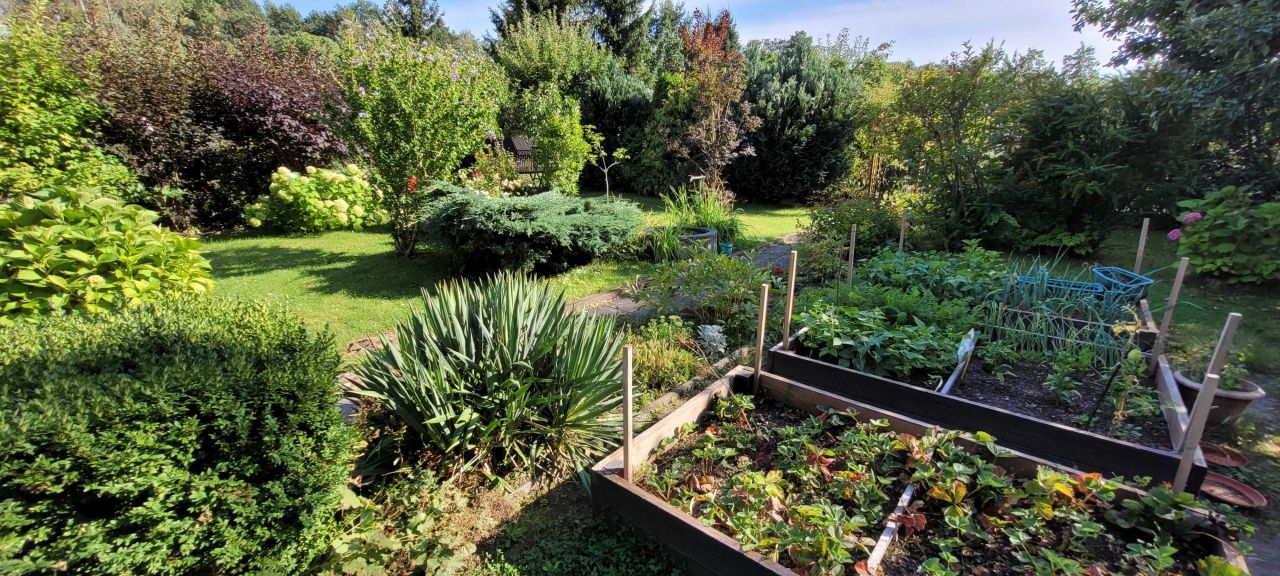 Działka rod Zielona Góra, ul. Nowa. Zdjęcie 2