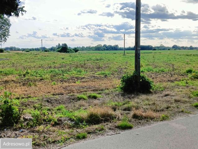 Działka rolno-budowlana Skowierzyn. Zdjęcie 1