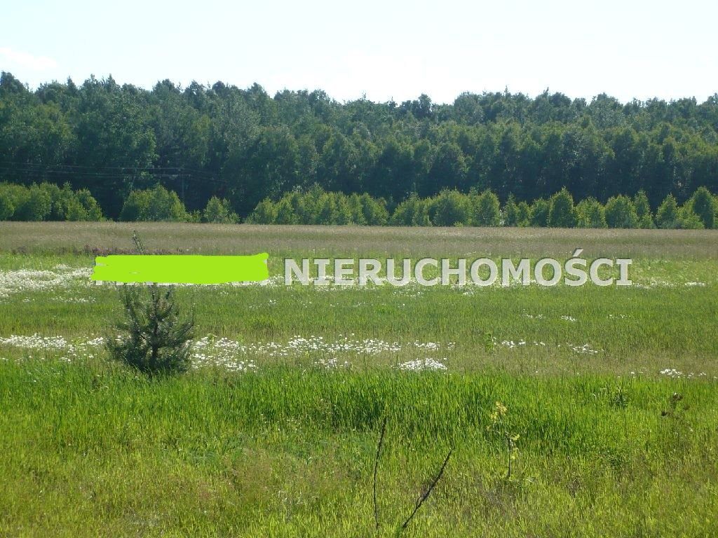 Działka rolna Joachimów-Mogiły. Zdjęcie 8