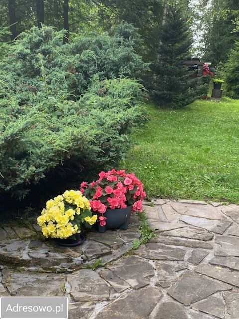 dom wolnostojący, 5 pokoi Gliczarów Górny. Zdjęcie 9