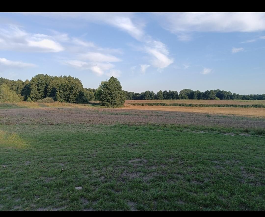 Działka budowlana Dobierzyn. Zdjęcie 4