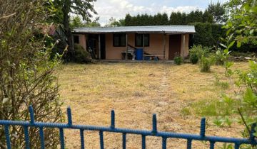 Działka rod Wolbrom, ul. Miechowska