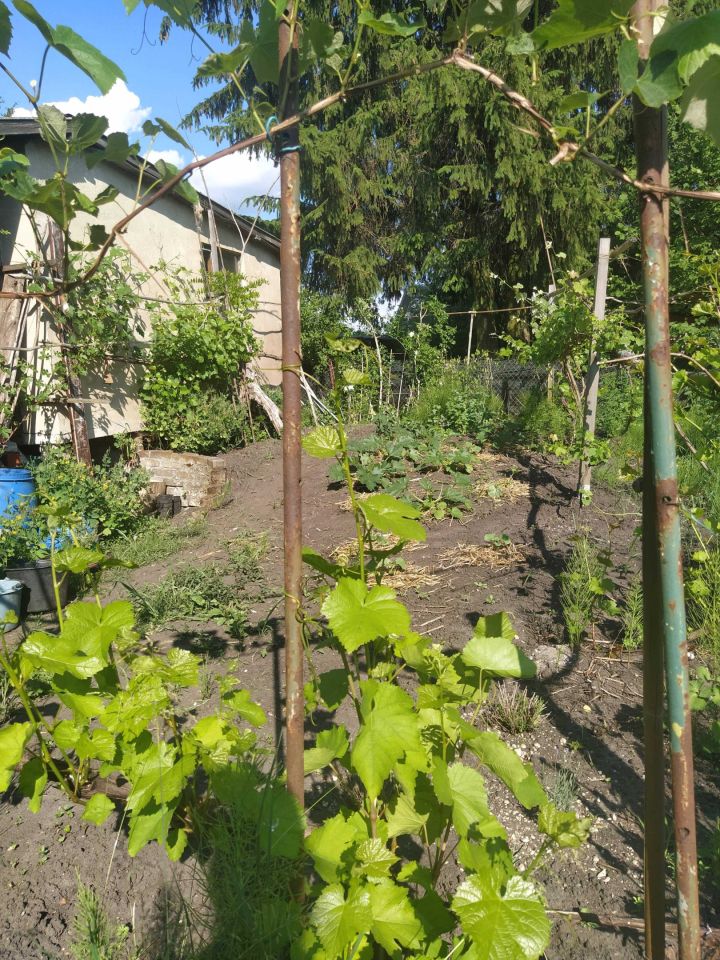 Działka rod Chełm. Zdjęcie 5