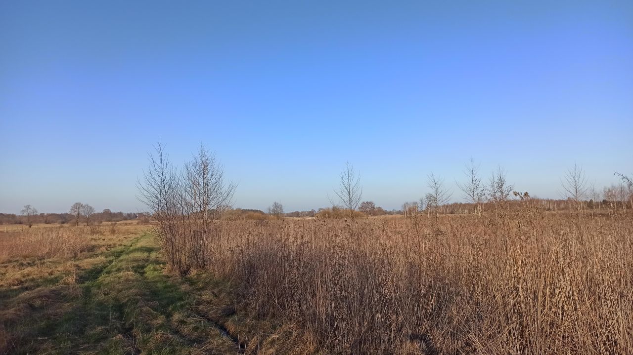 Działka rolno-budowlana Kąck, ul. Malownicza. Zdjęcie 3