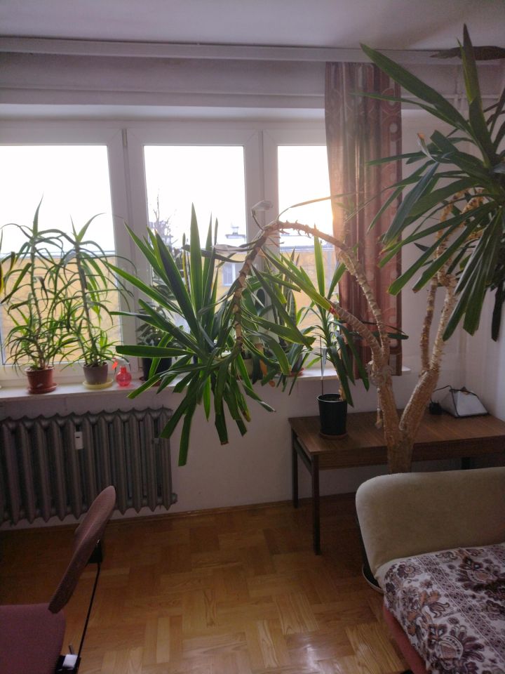 Mieszkanie 4-pokojowe Lublin LSM, ul. Pozytywistów. Zdjęcie 2