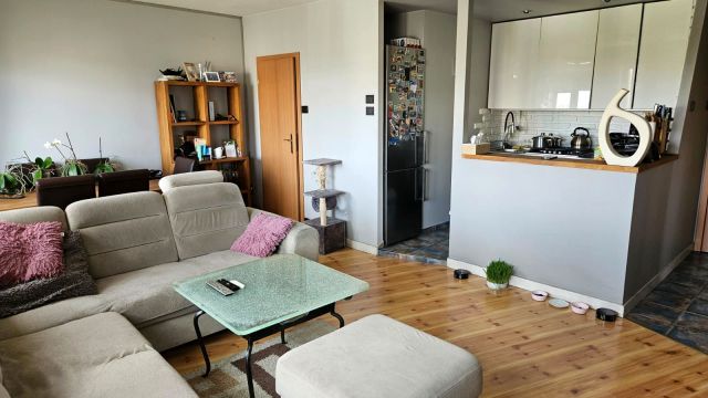 Mieszkanie 3-pokojowe Katowice Bogucice, pl. Wincentego Wajdy. Zdjęcie 1