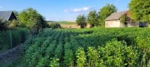 Działka rolno-budowlana Rudołowice. Zdjęcie 1