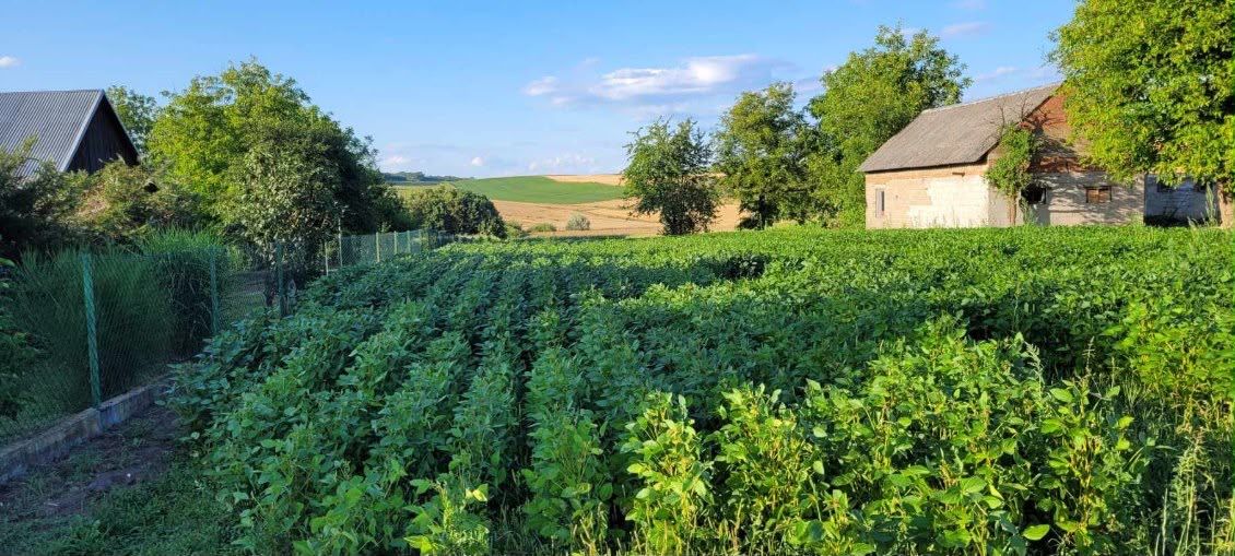 Działka rolno-budowlana Rudołowice. Zdjęcie 2
