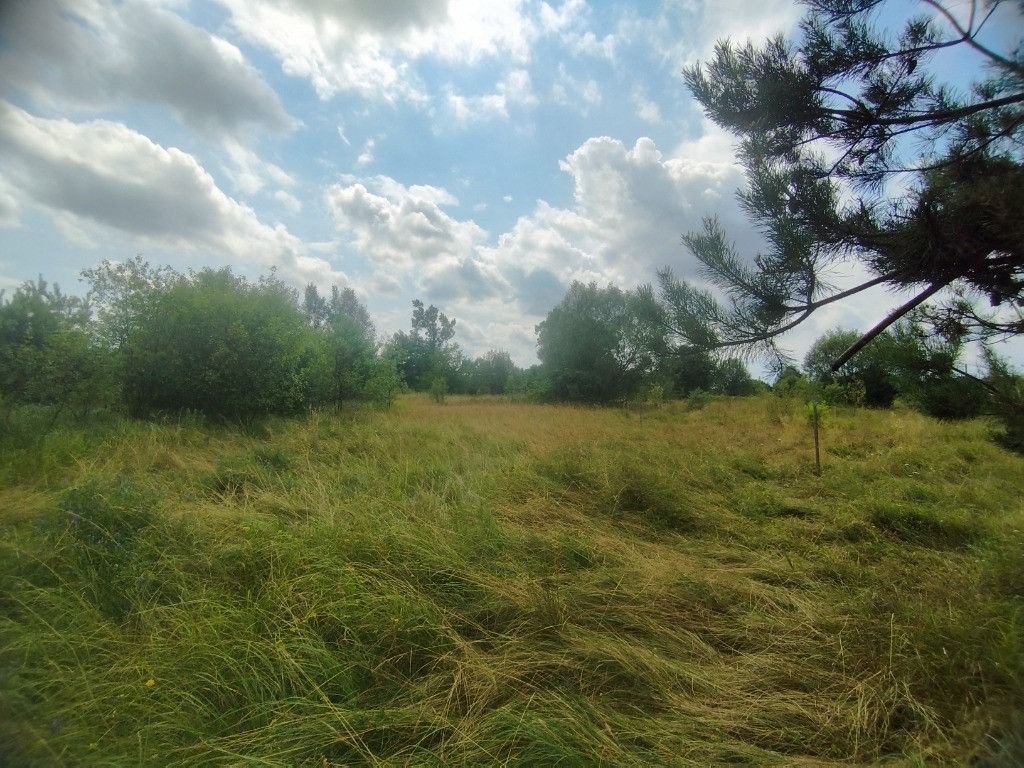 Działka budowlana Tomczyn. Zdjęcie 11