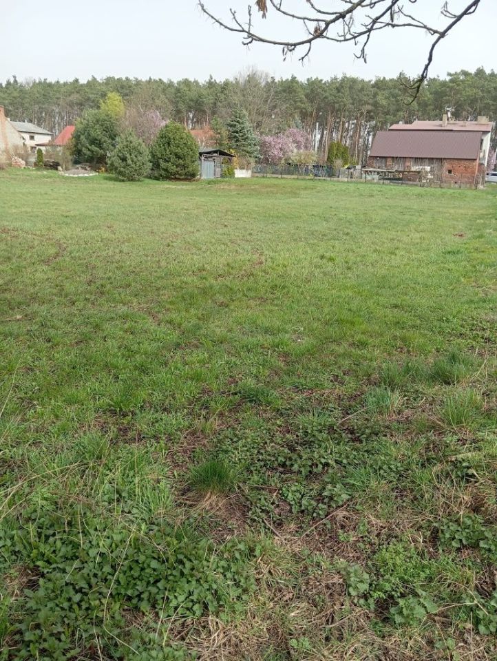 Działka budowlana Gorzyce Małe. Zdjęcie 5