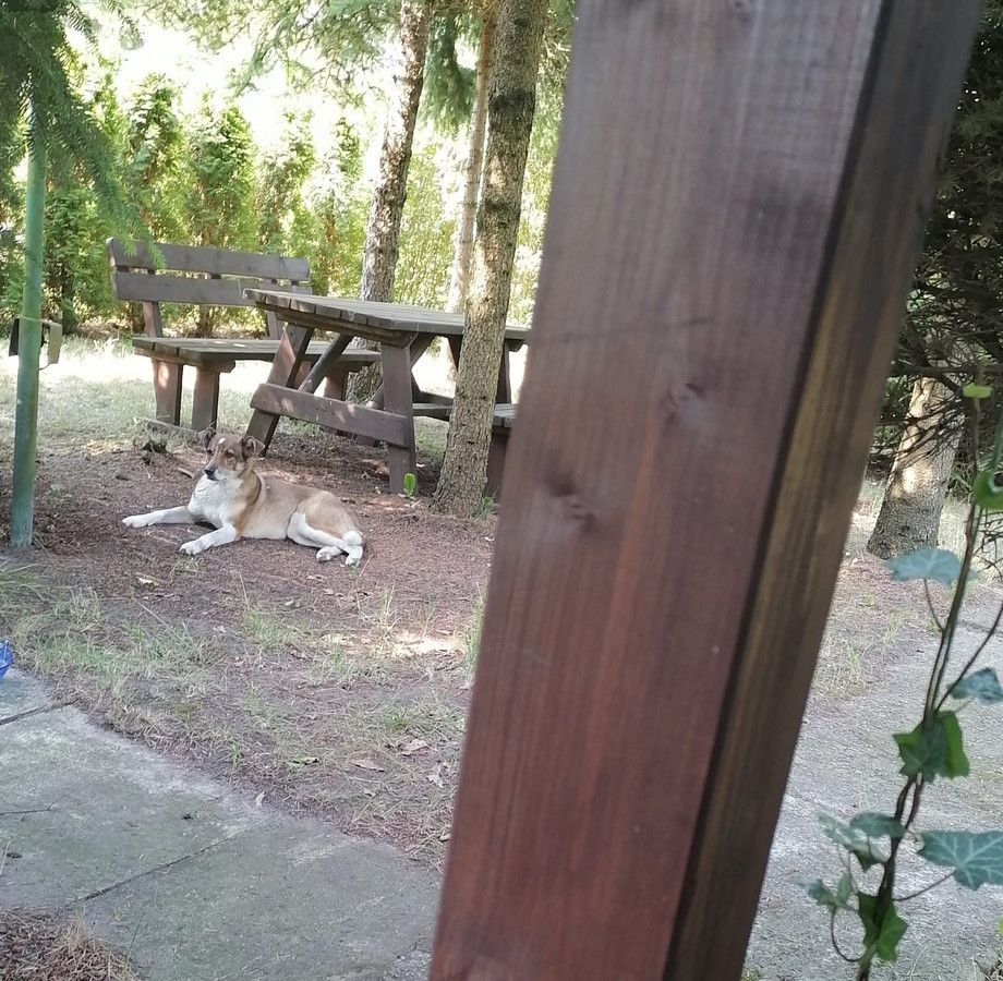 Działka rod Odrano-Wola. Zdjęcie 3