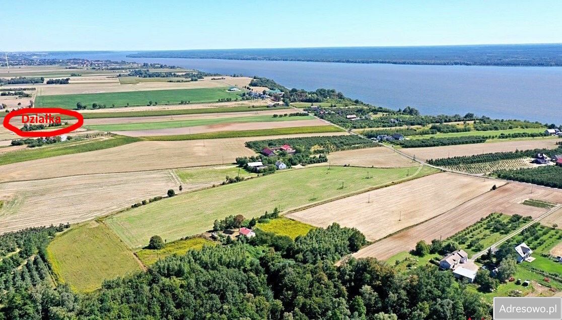 Działka siedliskowa Bachorzewo. Zdjęcie 5