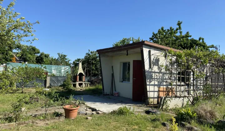 Działka rod Międzychód