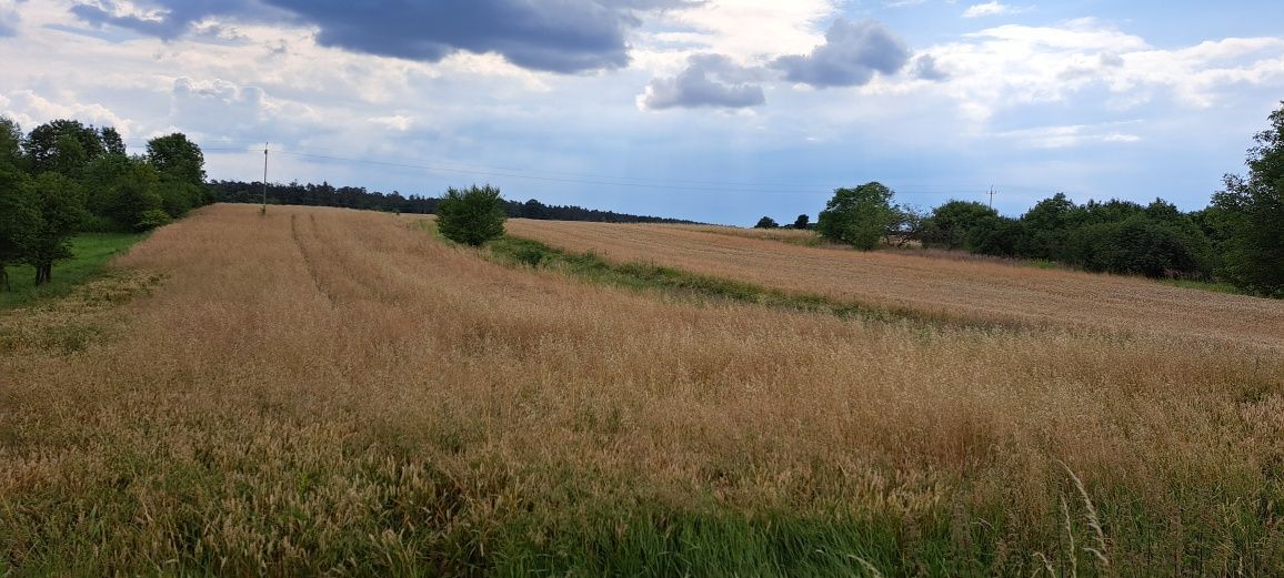 Działka budowlana Zalesie Krasieńskie. Zdjęcie 3