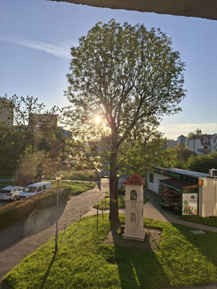Mieszkanie 3-pokojowe Poznań Winiary, os. Winiary. Zdjęcie 17