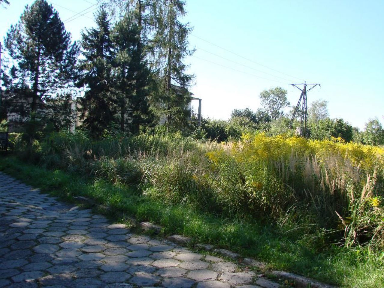 Działka budowlana Sosnowiec Ostrowy Górnicze, ul. Górna. Zdjęcie 6