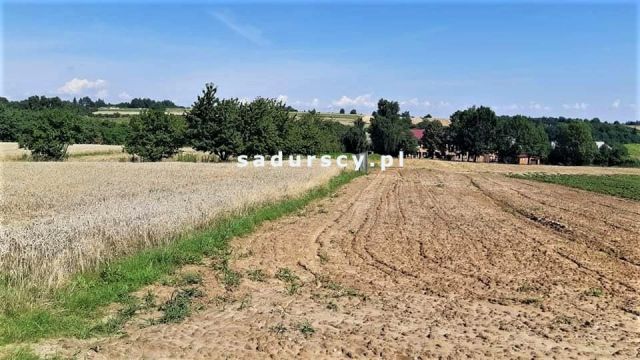 Działka budowlana Damice