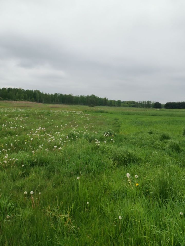 Działka budowlana Krasów. Zdjęcie 3