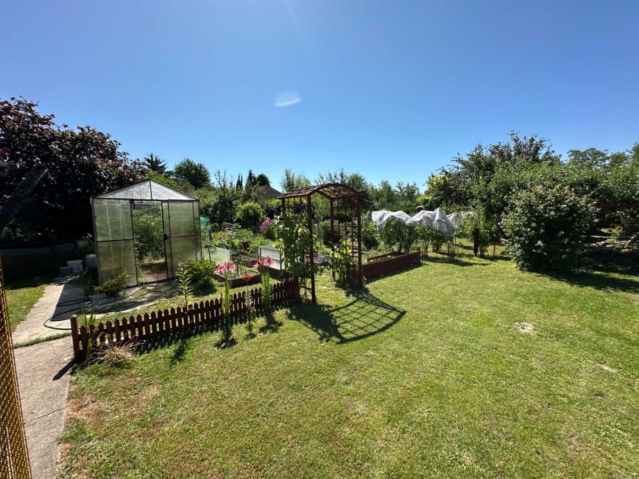 Działka rod Grzybiany. Zdjęcie 4