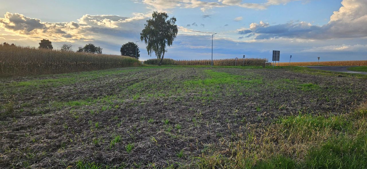 Działka inwestycyjna Radymno. Zdjęcie 7