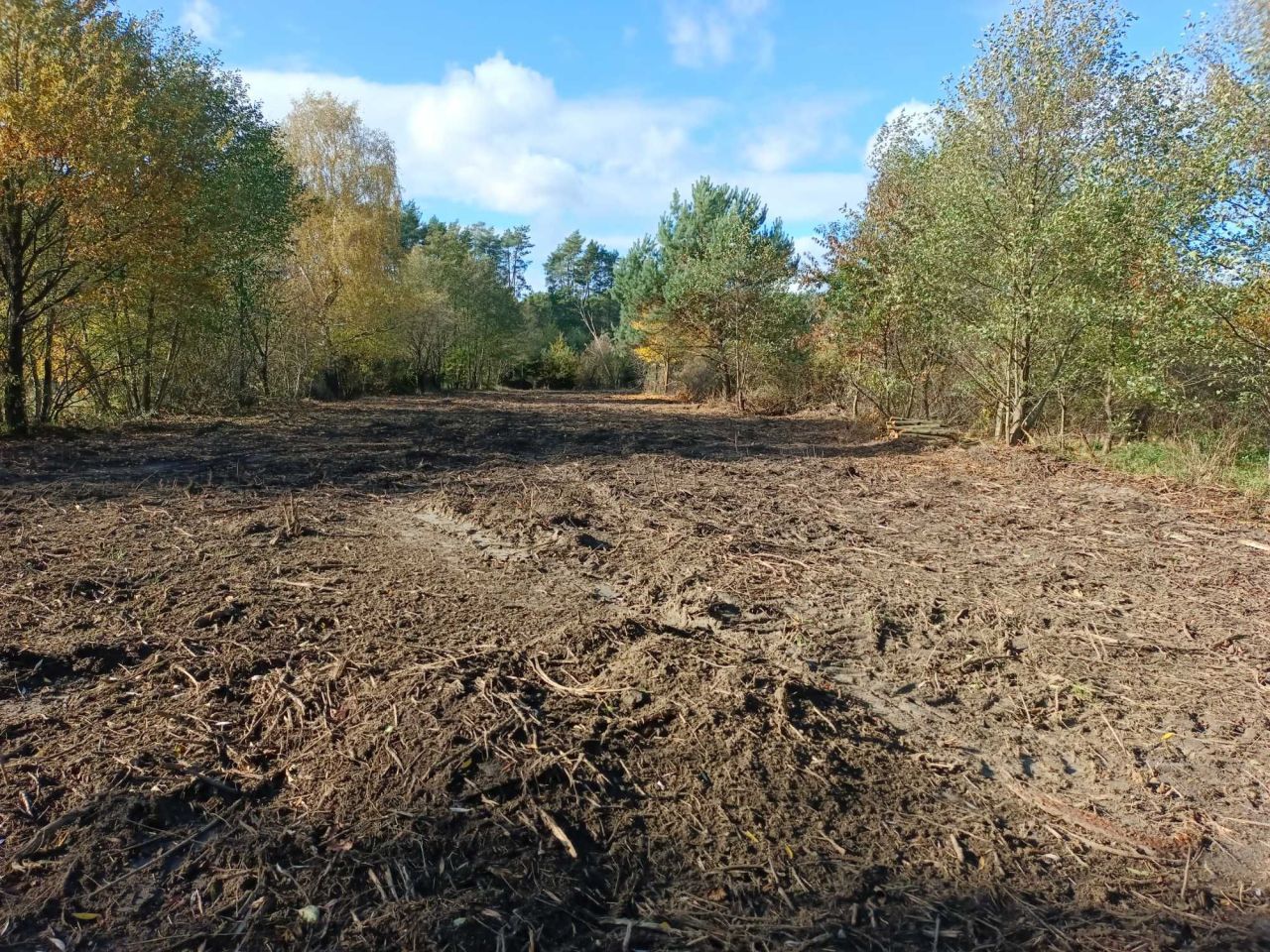 Działka rekreacyjna Łagów. Zdjęcie 2