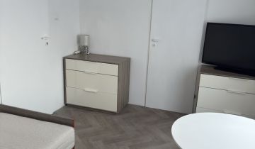 Mieszkanie 1-pokojowe Kębłowo