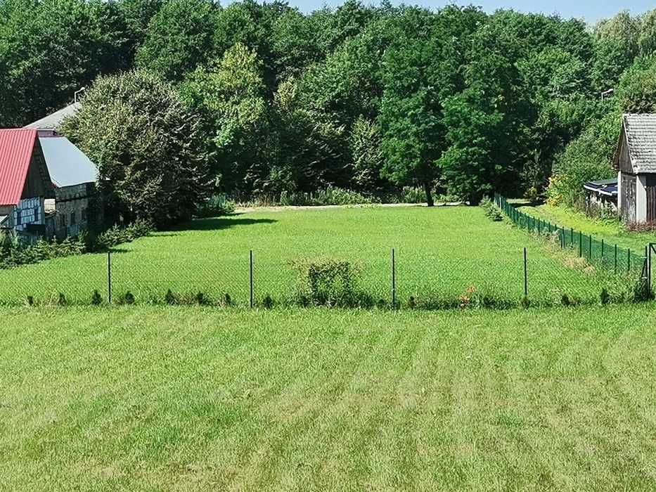 Działka rolno-budowlana Ciotusza Stara. Zdjęcie 2
