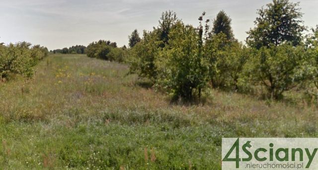 Działka rolna Stary Łajszczew. Zdjęcie 1