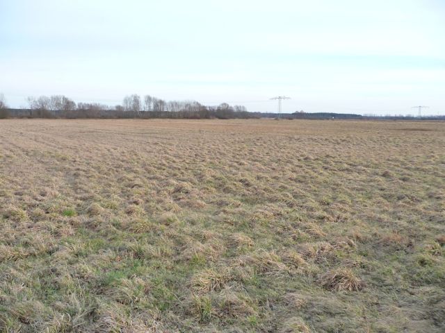 Działka rolna Lubsko. Zdjęcie 3