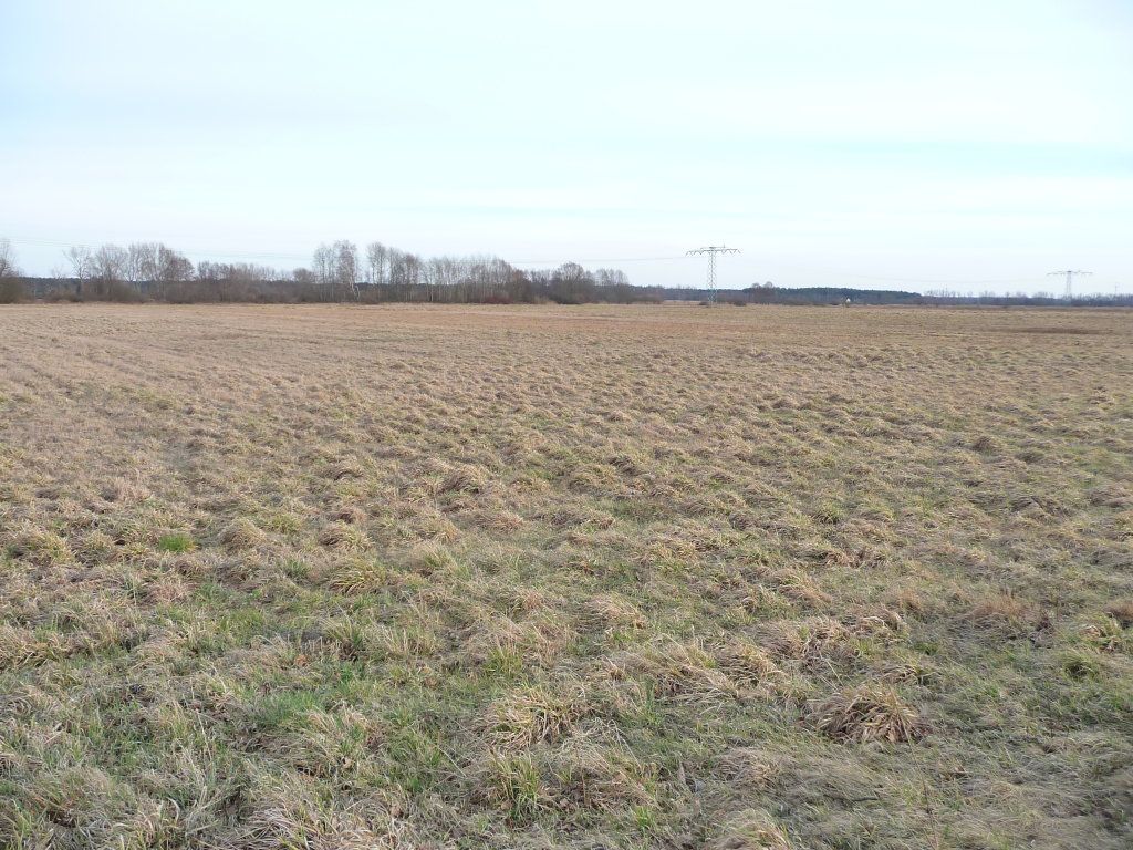 Działka rolna Lubsko. Zdjęcie 3