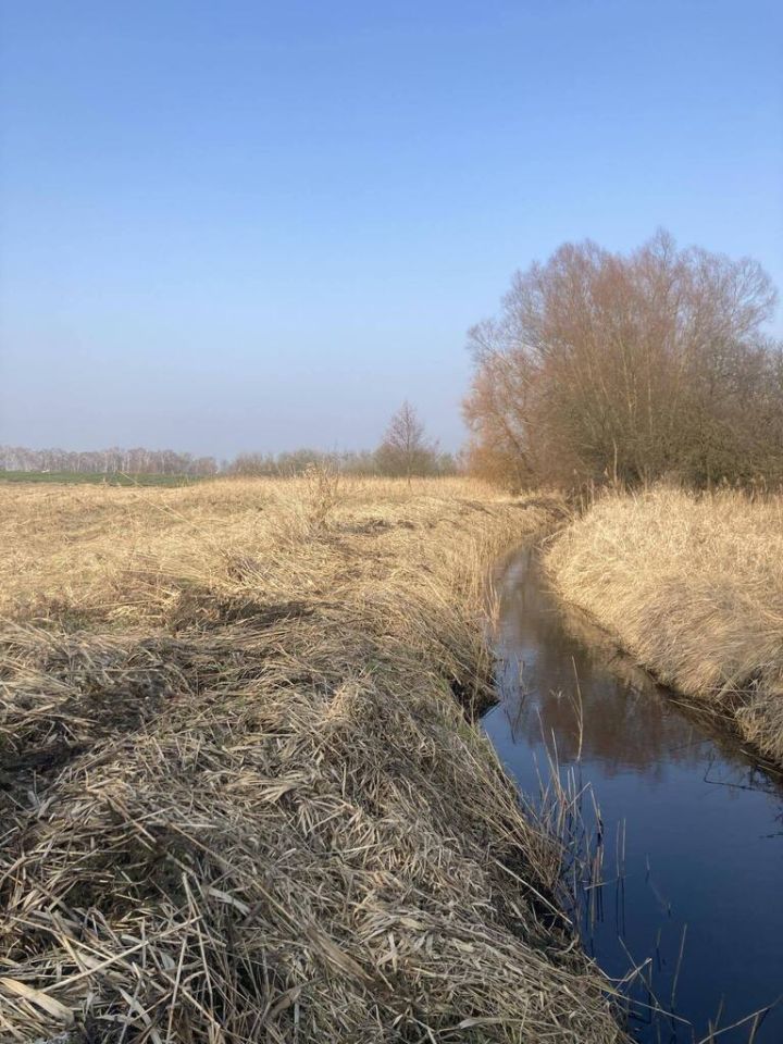 Działka rolna Głazów. Zdjęcie 7