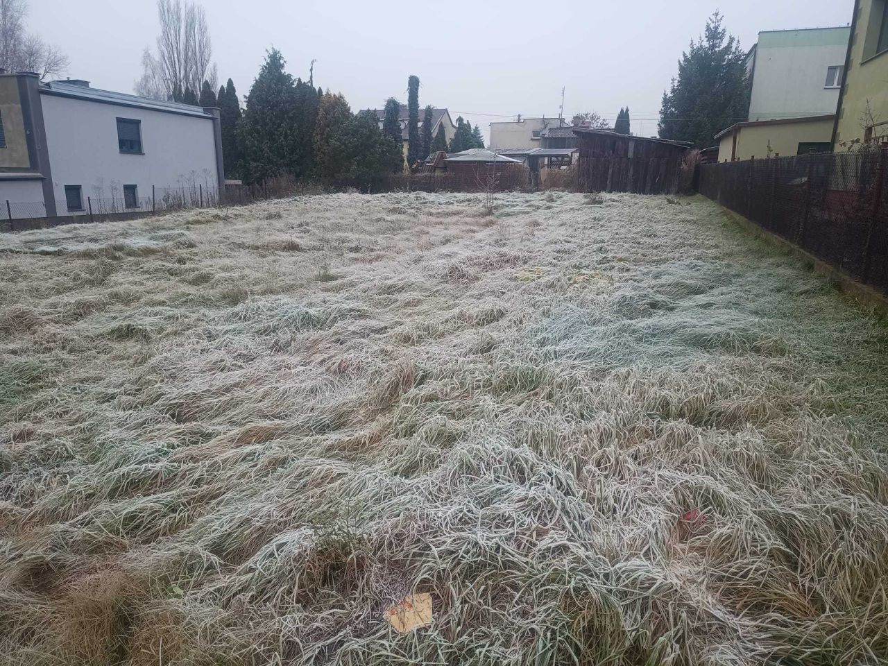 Działka budowlana Warlubie