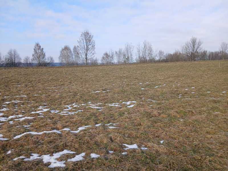 Działka budowlana Karwodrza. Zdjęcie 3