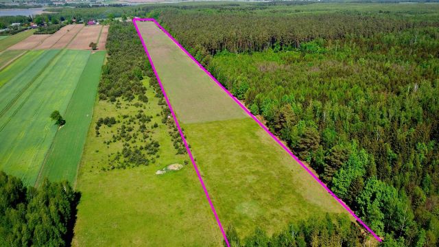 Działka siedliskowa Orzechówka. Zdjęcie 2