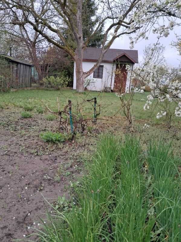 Działka rod Żagań. Zdjęcie 5