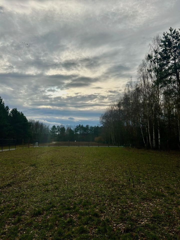 Działka budowlana Biedaszków Wielki, Biedaszków Wielki. Zdjęcie 6