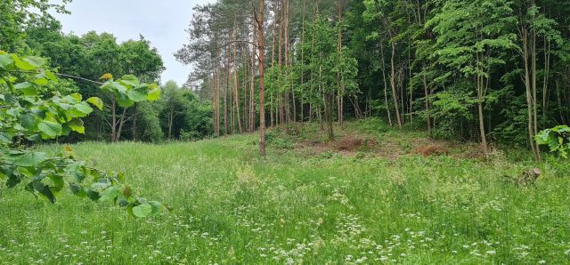 Działka budowlana Kajny. Zdjęcie 1