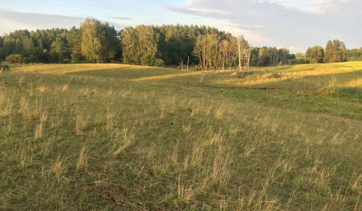 Działka rolna Jurkowo