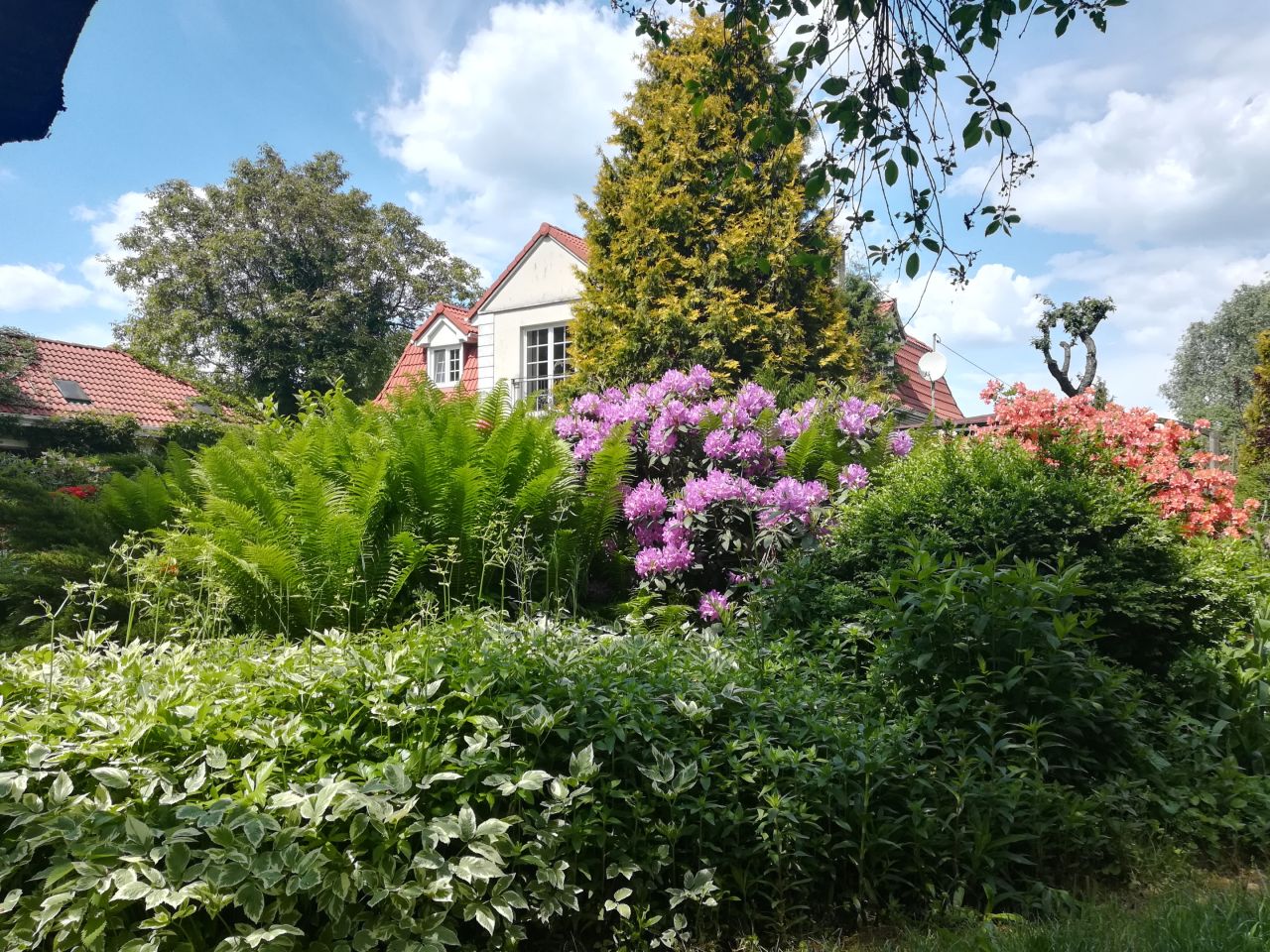 dom wolnostojący, 6 pokoi Nowe Gnatowice. Zdjęcie 13