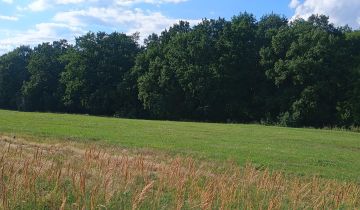 Działka rolno-budowlana Olempin