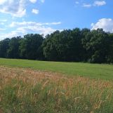 Działka rolno-budowlana Olempin. Zdjęcie 1