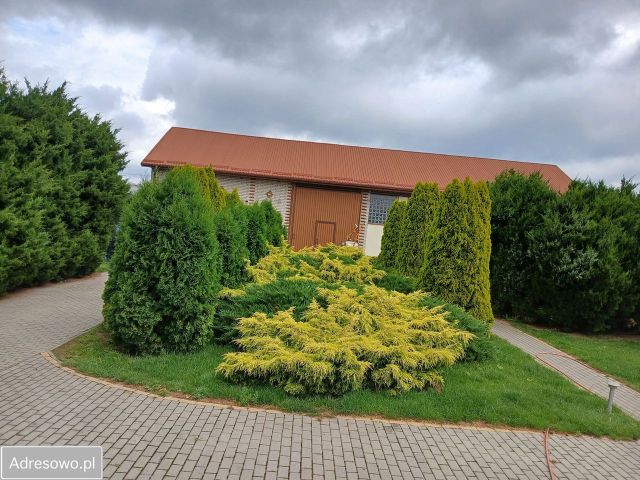 gospodarstwo, 4 pokoje Ciechanki Kolonia Ciechanki. Zdjęcie 8