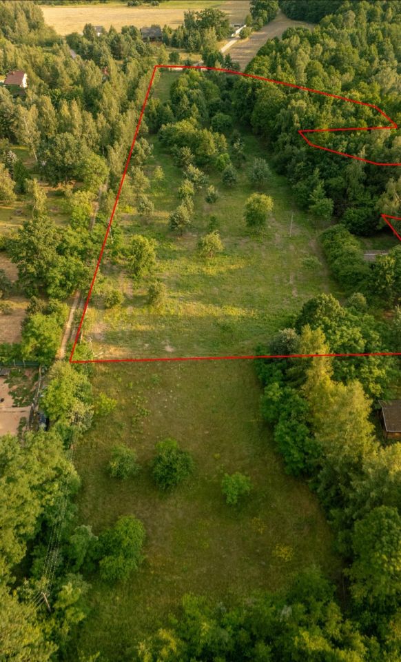 Działka budowlana Arciechów Dąbrowa, ul. Pod Świerkami. Zdjęcie 2