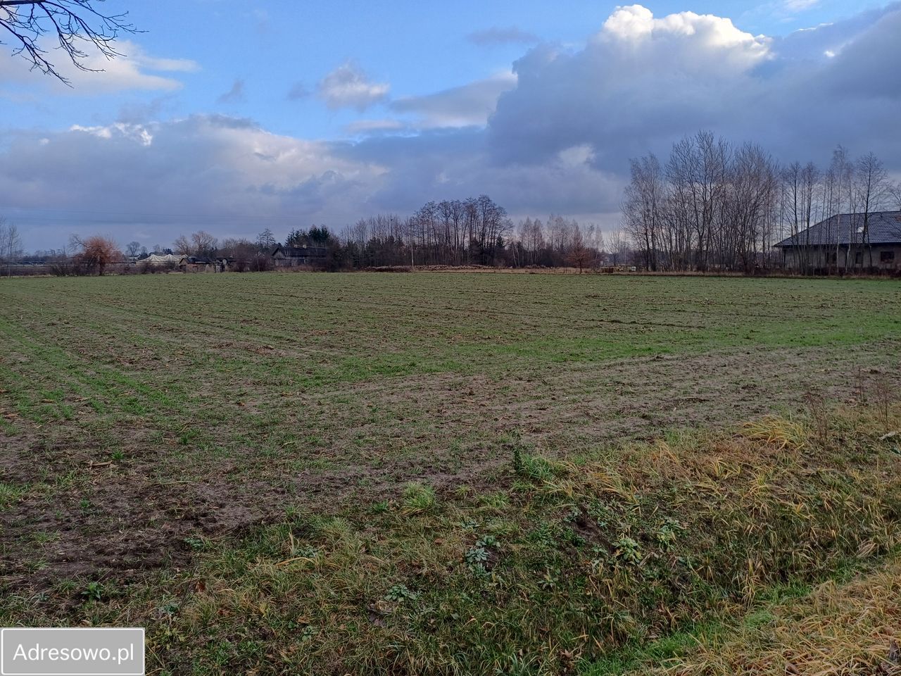 Działka rolna Kozery Nowe, ul. Popławska. Zdjęcie 13