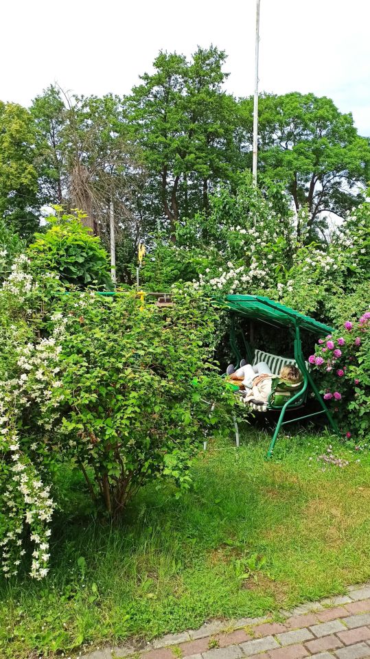 Lokal Nowa Wieś Lęborska, ul. Młynarska. Zdjęcie 3