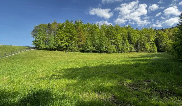 Działka budowlana Targanice Pod Jawornicą, ul. Jodłowa