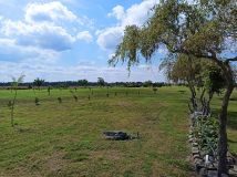 Działka rolna Czarnowo. Zdjęcie 3