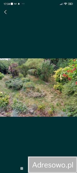 Działka rod Wrocław Kozanów. Zdjęcie 4