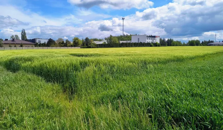 Działka budowlana Rzgów
