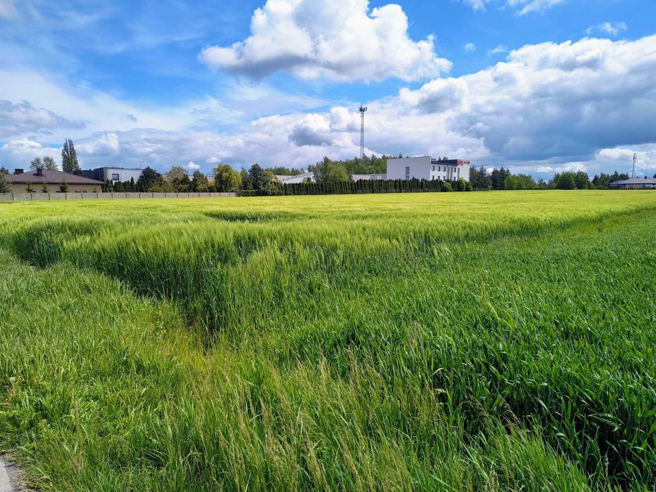 Działka budowlana Rzgów